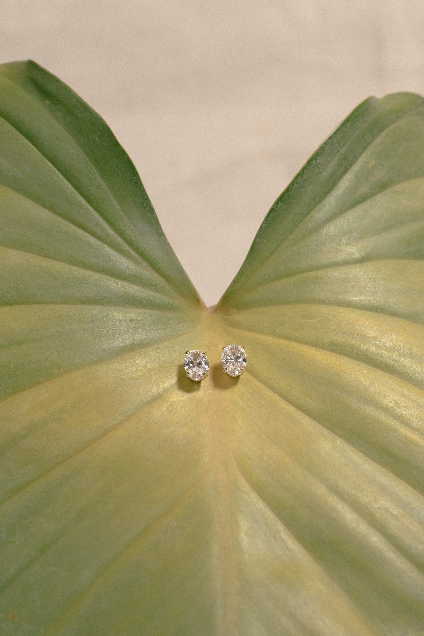Oval Earrings 01