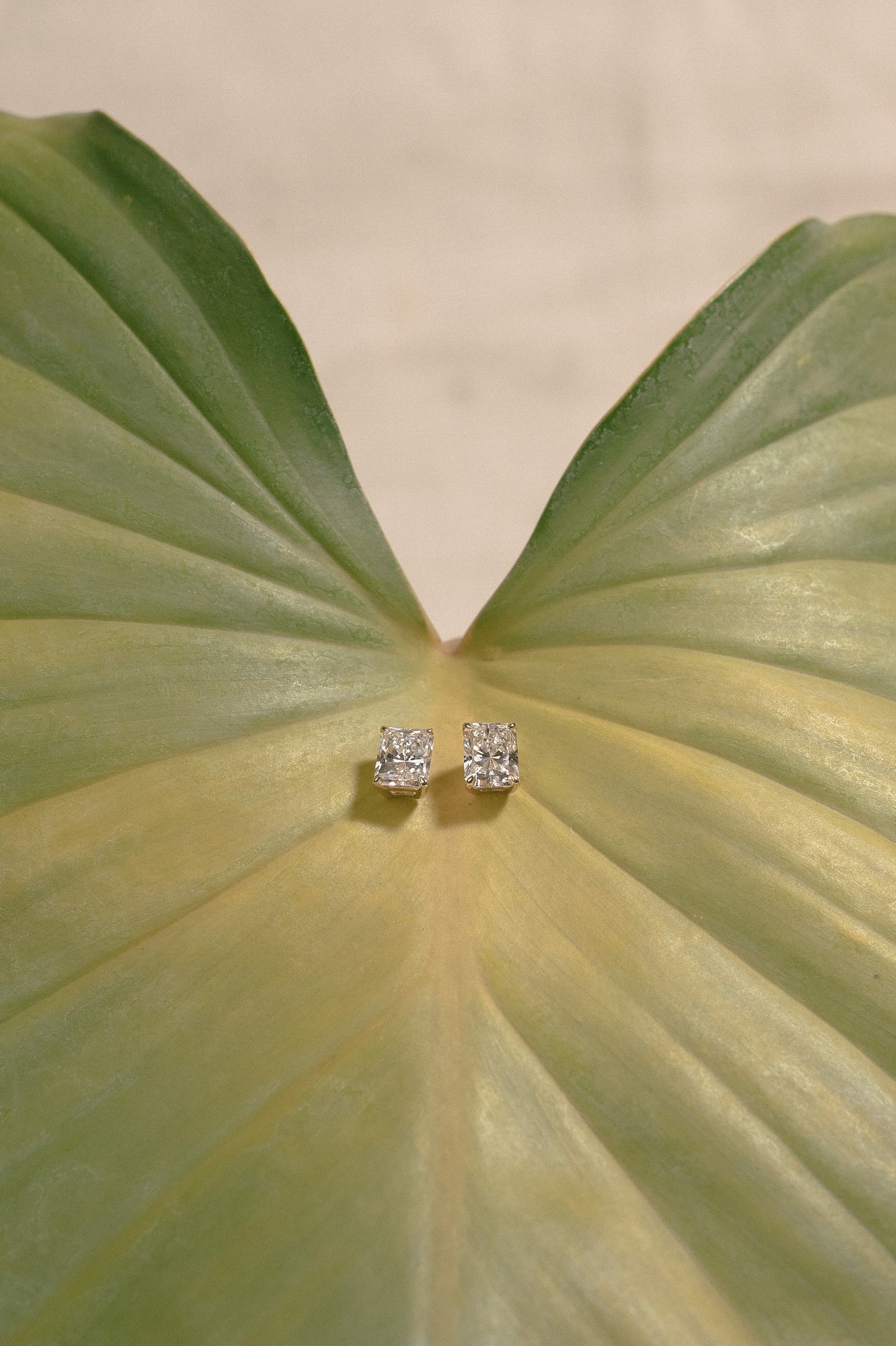 Radiant Earrings 01