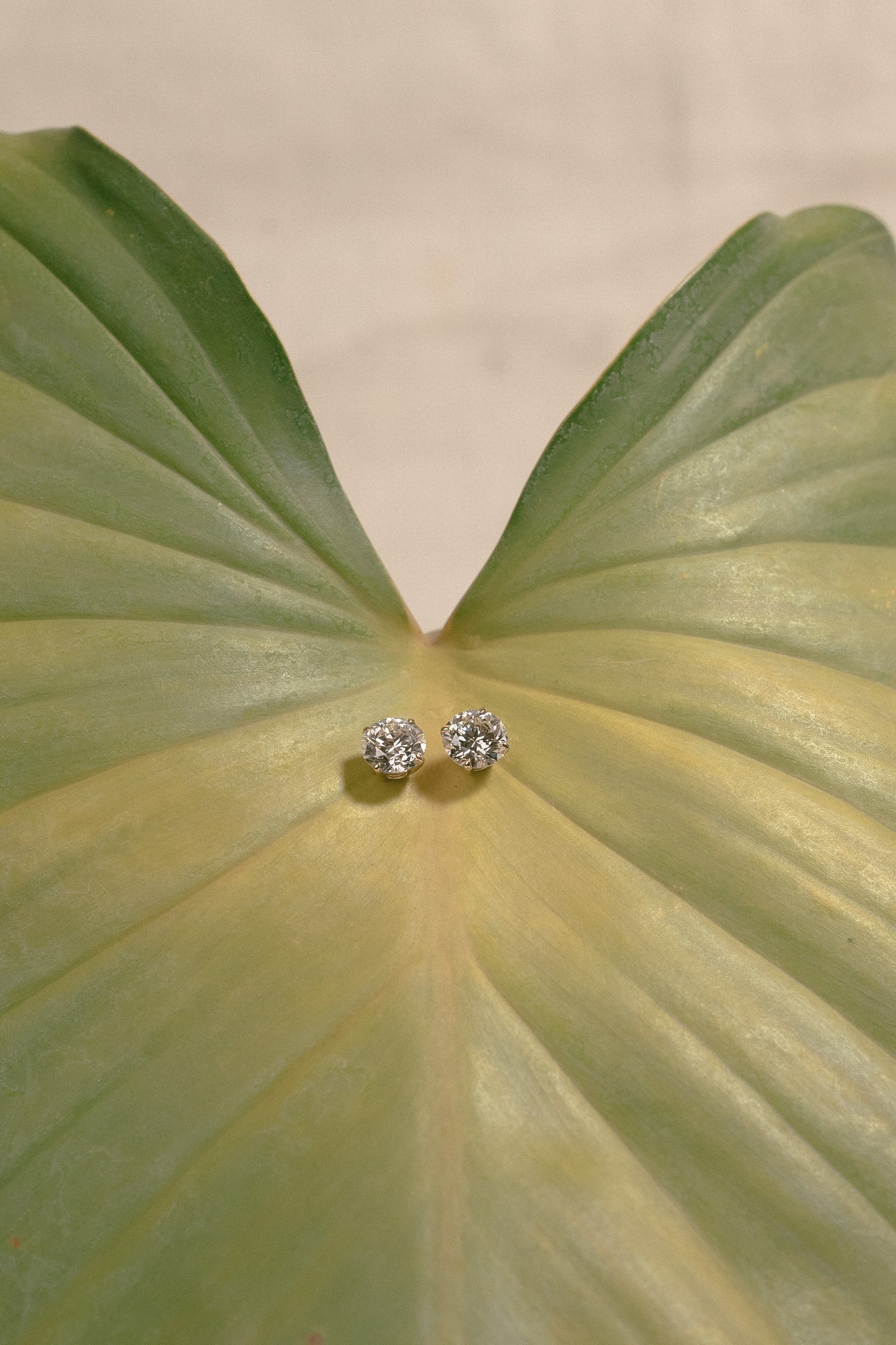 Round Earrings 01